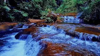 🔴 LIVE Mountain River Waterfall | Relaxing Nature Sounds for Sleep & Focus