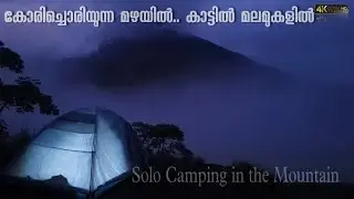 SOLO CAMPING IN RAINSTORM | Relaxing and sleep with the sounds of FOREST and RAIN | #asmr