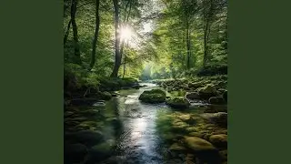 River Focus Clarity