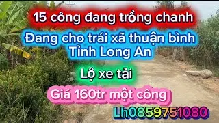 Một sản phẩm đẹp giá hợp lý 160tr một công lh0859751080