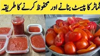 Homemade Tomato puree recipe by Cook Shook || How to make and freeze Tomatoes | Tomato Puree Recipe