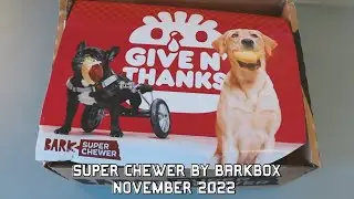 Super Chewer by Barkbox: November 2022
