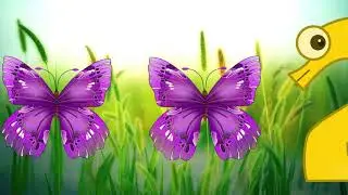 Butterflies Counting 1 to 5