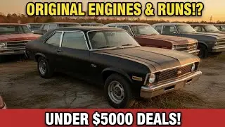1977 Chevy Nova Project Car &mdash; Rust Free, Huge Potential!&rdquo;