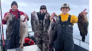 Whittier, Alaska | Prince William Sound | Rockfish, Halibut and Humpback Whales