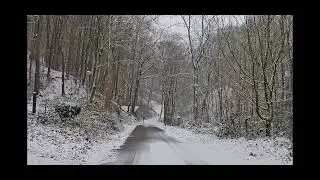 Peaceful Winter Piano ❄️ Snowy Forest Relaxation | Stress Relief & Sleep