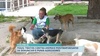 Maus-tratos contra animais: 115 ocorrências são registradas no Maranhão em 2025