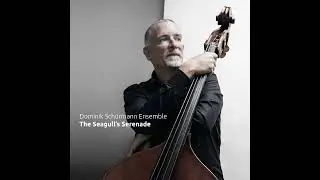 Dominik Sch&uuml;rmann Ensemble feat. Domenic Landolf & Patrick Joray: Bird Stories