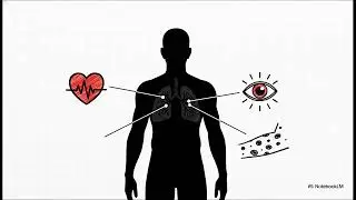 Air Pollution: Causes, Effects & Control Measures | Complete Explanation ll 1st Semester UG ll +3