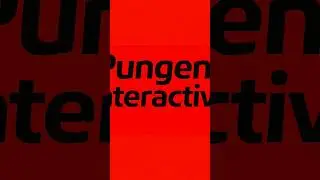 Pungent Interactive is what?