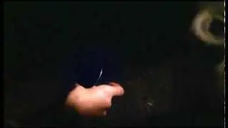 Birds of Prey Opening (DVD Version)