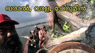 കരിമീൻ, വാള, ചേറുമീൻ | FISHINGVLOG |#reallife #realfishing #kayalfishing #keralafishing
