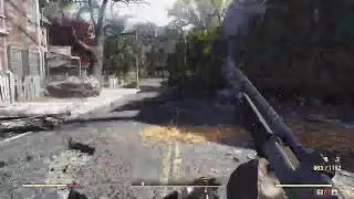 Fallout76 alone with no real friends.