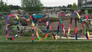Burien Wild Strawberry Festival