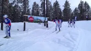 Sveg