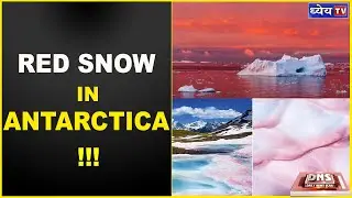 DNS: WHY IS SNOW IN ANTARCTICA TURNING RED ?