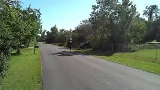 Spotted Singlefooting Stallion $5000
