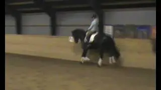 Danhorse/ H. Resolut