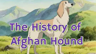 The History of Afghan Hound