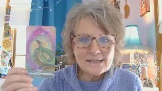 Animal Wisdom & Oracle Guidance - Last One of 2025