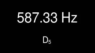 Sine Wave D 5 - 587.33 Hz for 15 minutes - Test Tone