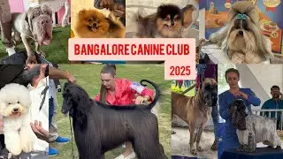 Silicon city Kennel club😍| Bangalore Canine Club👌🫶| #dogshow #bangalore #trending #kennelclub