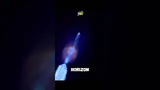 SPACE JELLYFISH?! 🌌🤯 #shorts #nature #science