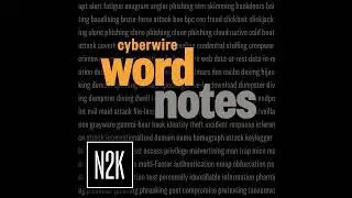 Encore: rogue access point (noun)