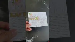 #shorts Washi tape card idea - create grounding for focal design. Check out latest video for details