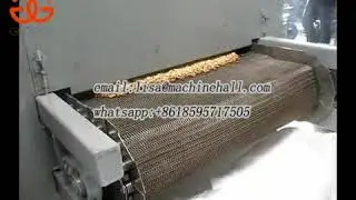 Belt Type Pine Nut Roasting Machine|Pine Nut Roaster Machine For Sale