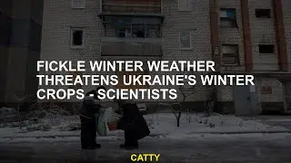 Fickle winter weather threatens Ukraine's winter crops - scientists