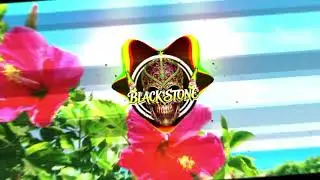 Naughty Things (Driikz 02 mashup) 2026🇻🇺