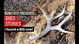 92 INCH MULE DEER SHED AND A 180 CLASS MULEY SET!  CHECK OUT BONETATS SHED STORIES!