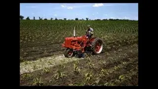Farmall C tribute