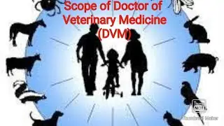 Scope of Doctor of Veterinary Medicine  (DVM)/ Carrier opportunities in Veterinary Sciences