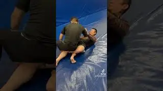 Беримболо из полугарда #bjjshorts #bjjfanatics #moveoftheday #bjj
