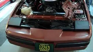 MOV05365