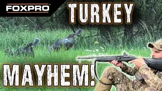 Rocky Top Gobblers! - Tennessee Turkey Hunting