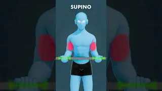 Diferencia entre Barra Zeta y Barra Recta #ejercicio #tips #entrenamiento #gym