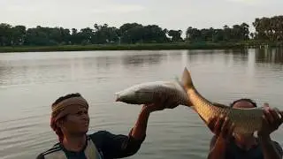 Fish Breeding Technique/Rohu Fish Eggs/Hatchery
