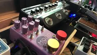 A Dorian guitar Jam with the Chase Bliss Mood MkII, Habit, and Others