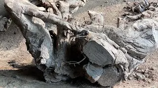 What about these dangerous wood wastes#woodworking #woodwork #carpentry #diy #usa #longvideo #