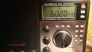 CRI; Shijiazhuang - in Polish; 6020 kHz; CC RadioSW