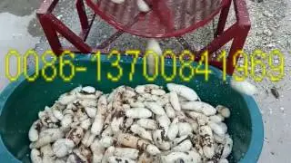How to peel fresh cassava? & Cassava Peeler Factory