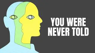 Psychology Facts About Human Behaviour No One Taught You