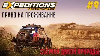 Прохождение Expeditions: A Mudrunner Game - #9 - АРИЗОНА: Право на проживание (4К/60FPS)