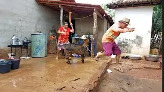 bastidores!! Seu Mané achou o bode 🐐 🐐 🐐 Juvenal em uma carteira!!