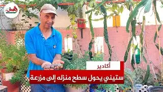 مواطن من أكادير يحول سطح منزله إلى مزرعة مستدامة 