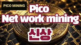 Pico Network Mining🔔스마트폰 무료채굴‼️신상