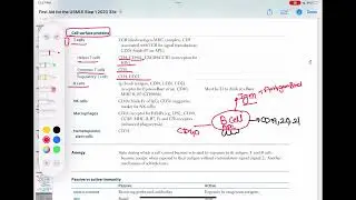 Белки клеточной поверхности #иммунология 28 | Первая помощь USMLE Шаг 1 на урду/хинди |
